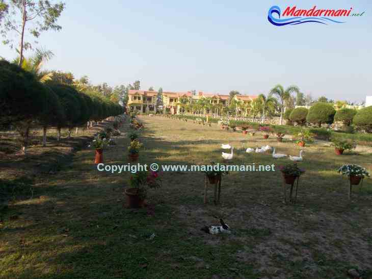 Digante - Garden With Animal - Mandarmani