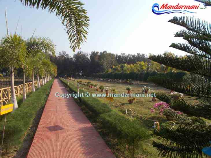 Digante - Road Side Garden - Mandarmani