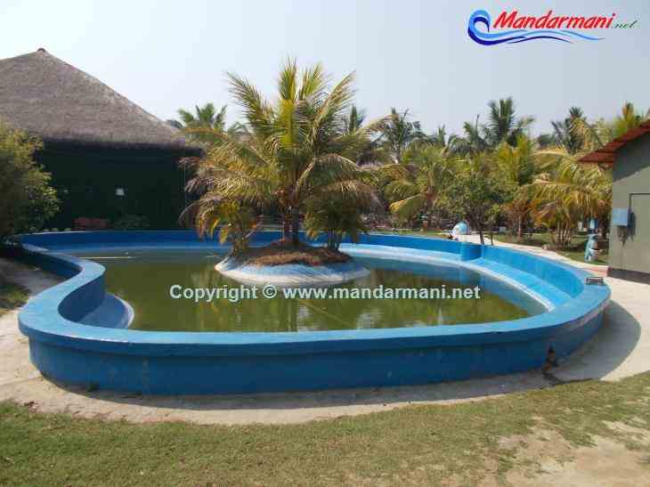The Sana Beach Spa Resort - Small Pond With Coconut Tree - Mandarmani