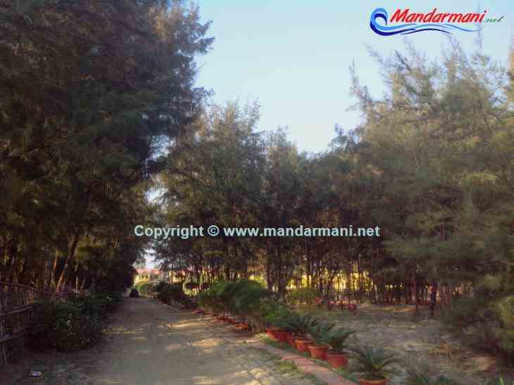 Digante - Garden Of  Green Tree - Mandarmani