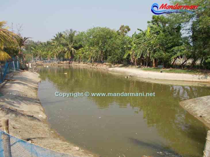 The Sana Beach Spa Resort - Nice Pond With Pond - Mandarmani