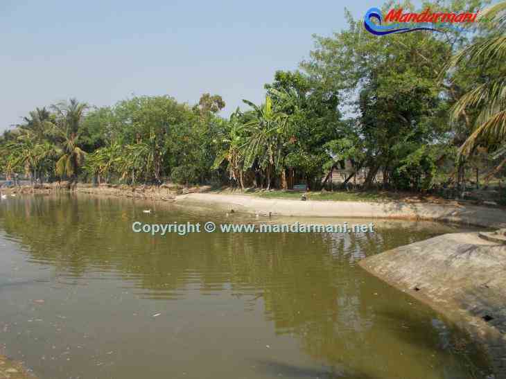 The Sana Beach Spa Resort - Nice Pond - Mandarmani
